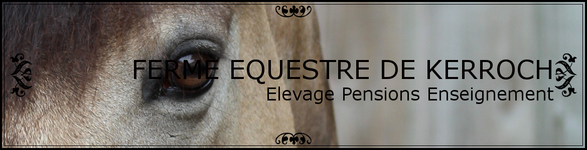 FERME EQUESTRE DE KERROCH